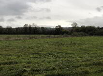 Photo 4 of C. 12 Acre Field, Lanespark, Ballynonty, Thurles, Tipperary