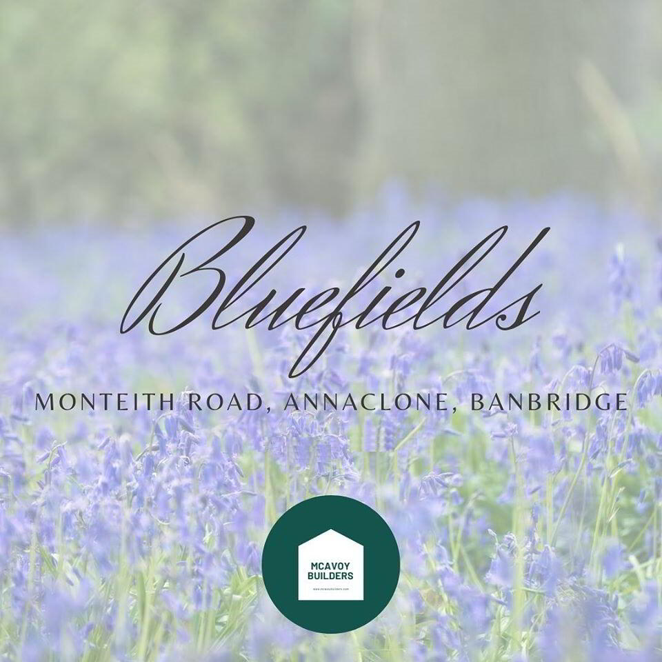 Photo 1 of Bluefields, Annaclone
