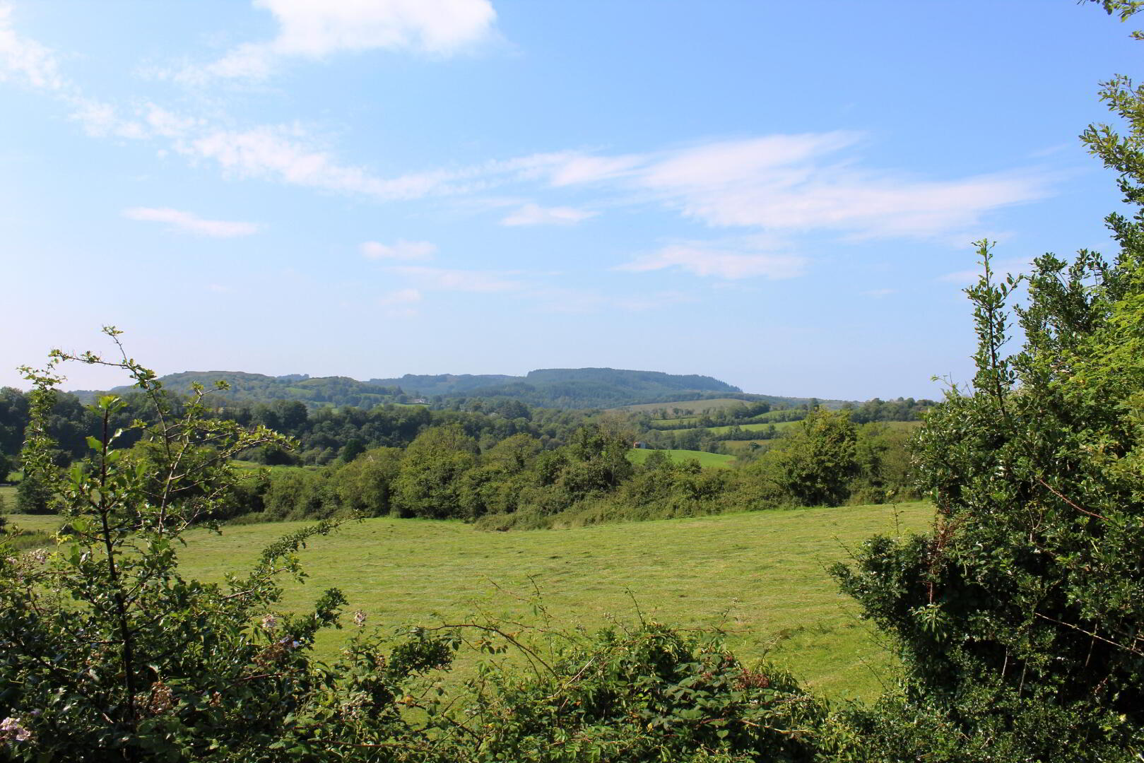 Tully Manor, Derrygonnelly