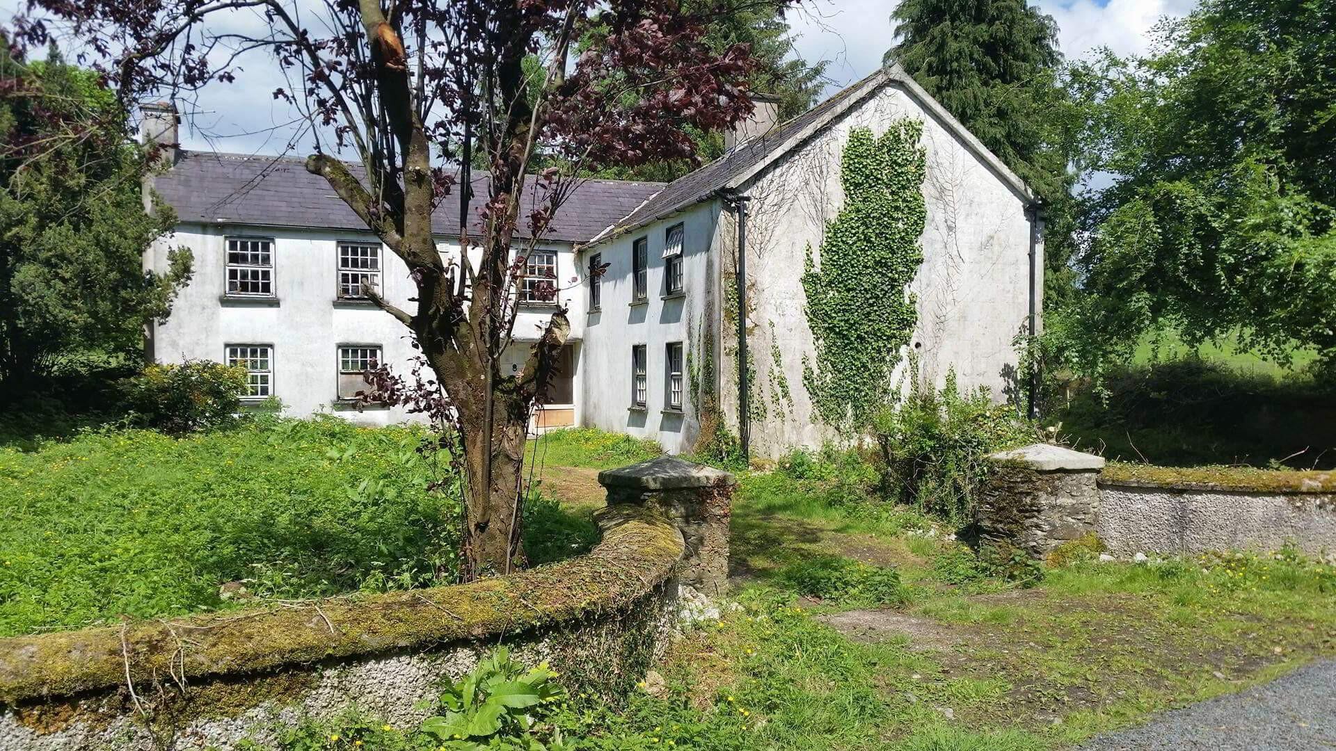 Dowdenstown Ballymore Eustace Kildare