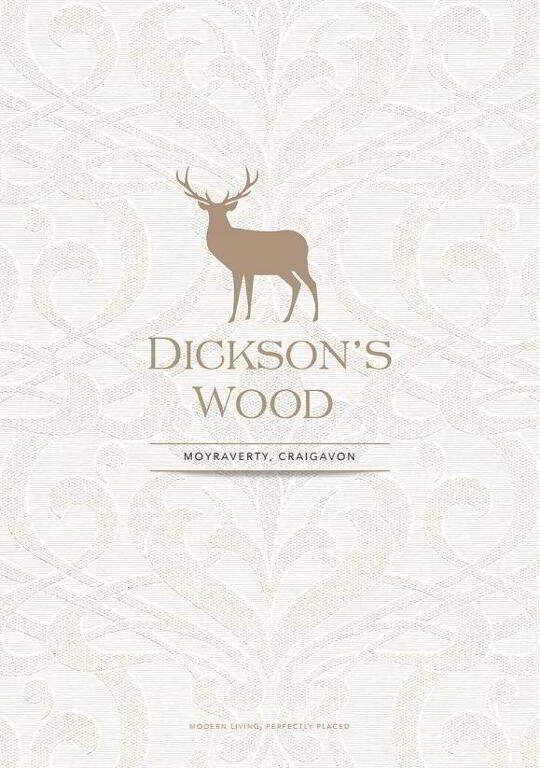 Photo 1 of Dickson's Wood, Craigavon